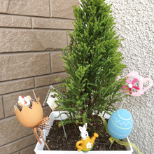 セリアのペンキで子どもと一緒に簡単イースター