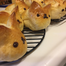 イースターにぴったり♡卵たっぷりうさぎパン