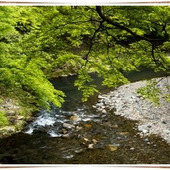 5月になったら「アクアセラピー」をしよう!