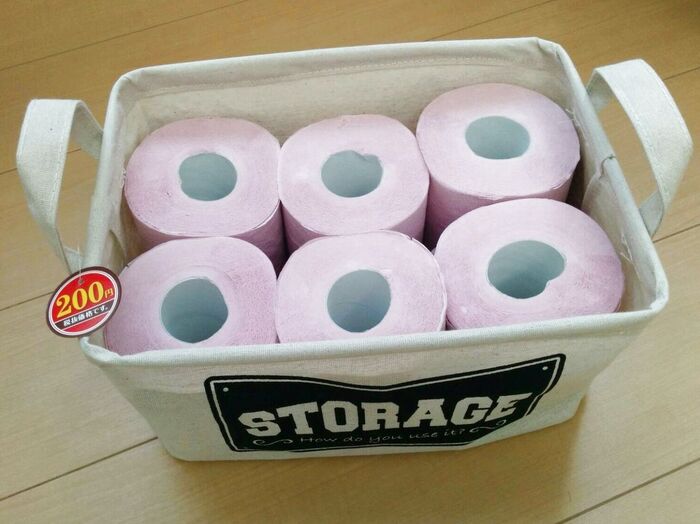 ダイソーのSTORAGE BOXを利用