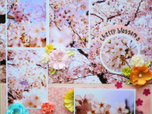 桜のスクラップブッキング