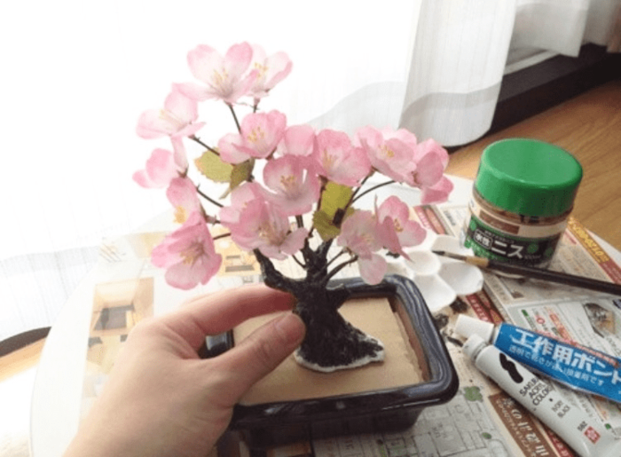 鉢に固定する*
