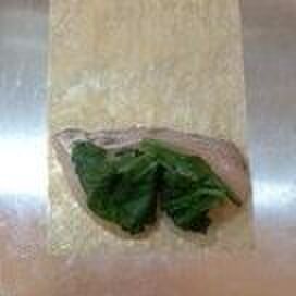 鯛とほうれん草を湯葉で包みます