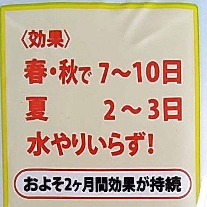 植物への留守中の水やりも安心♡簡単保水剤で水やり回数が3分の1に(^^♪