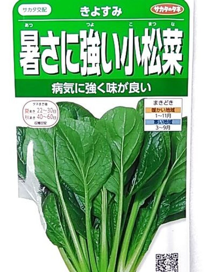 暑さに強いのも助かる!(^^)!