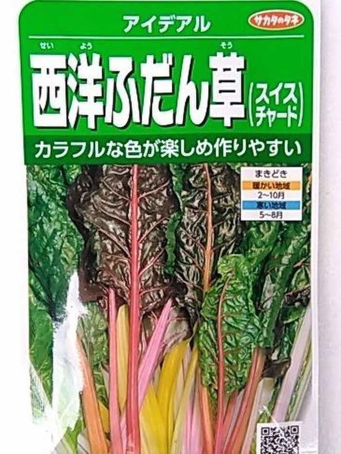 西洋ふだん草