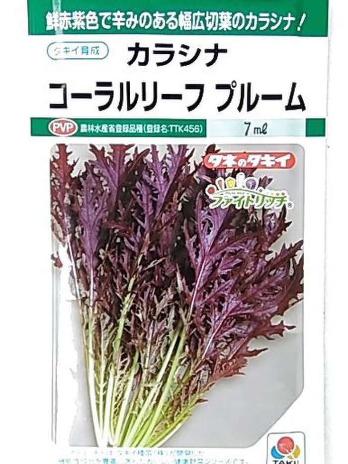 紫色がとてもきれいな水菜です♪