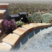 レンガで造る花壇!創作花壇の造り方?