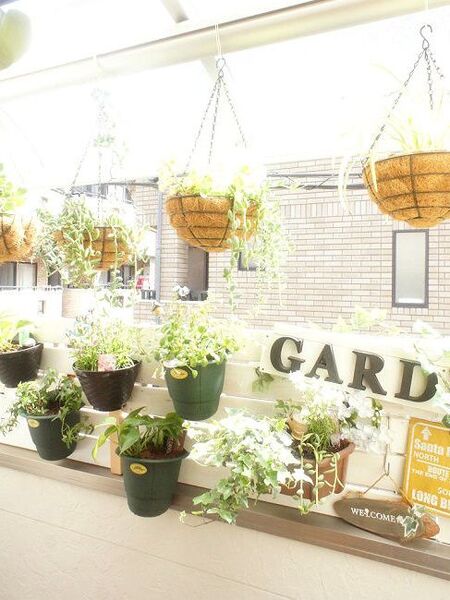 育てるインテリア★放置プレーな観葉植物たち