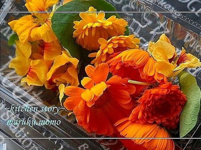 6.エディブルフラワー