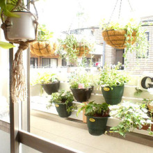 簡単!楽々な窓ガラス掃除でピカピカ♪