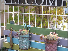 スクラップウッド風カラフルボーダーフェンス+多肉で目をひくディスプレイ