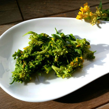 今しか食べれない♡菜の花の塩もみ