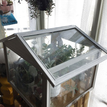 ミニ温室で多肉植物がスクスク♡