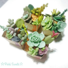 お砂糖の多肉植物で♡ボタニカルカップケーキ