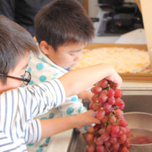 子供から大人まで コストコには「シードレスグレープ」を買いに行く!