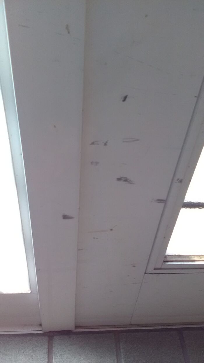 アルミのドアもお試し