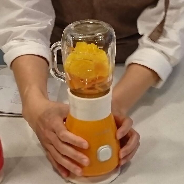 ソロブレンダーソラン(solen)