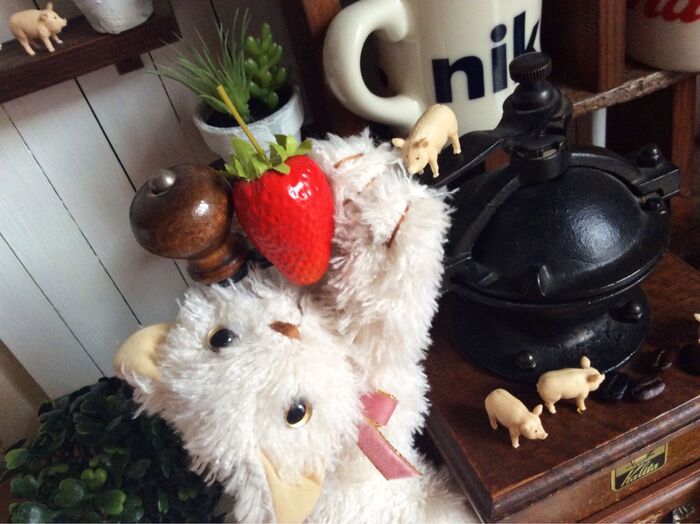 イマジネーション♡ディスプレイ