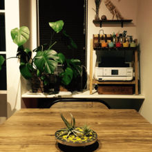 ダイソーのダーツボードで簡単おしゃれ雑貨