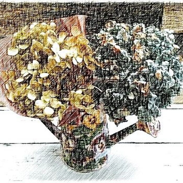 エフェクトかけて撮影してみました