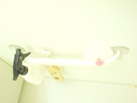 上から見たところ。