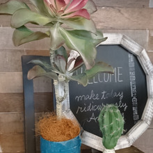 【100均リメイク】ぷくっとかわいい!ダイソーのグルーガンでリメ缶&リメビンDIY☆