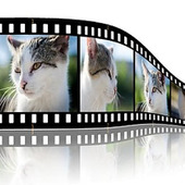 現実とは一瞬の連続