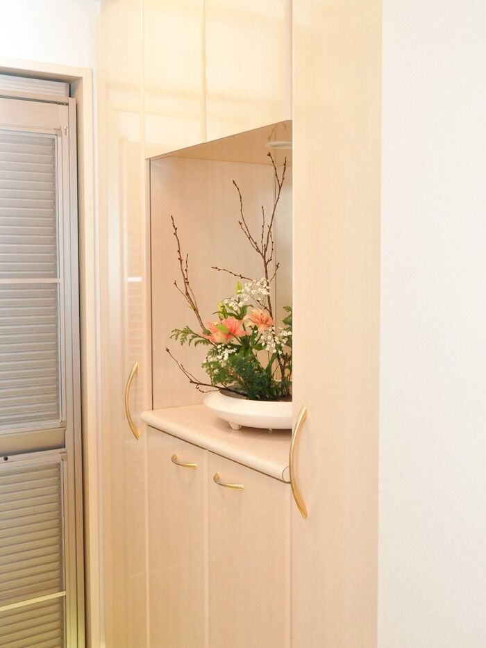 靴だけじゃない!下駄箱におススメな100均収納用品