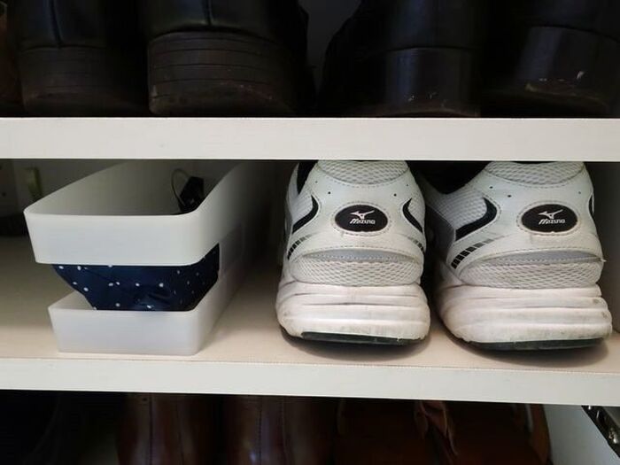 理由③サイズ感がいい