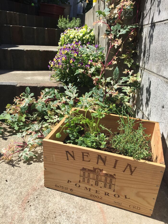 作り方③苗を植える