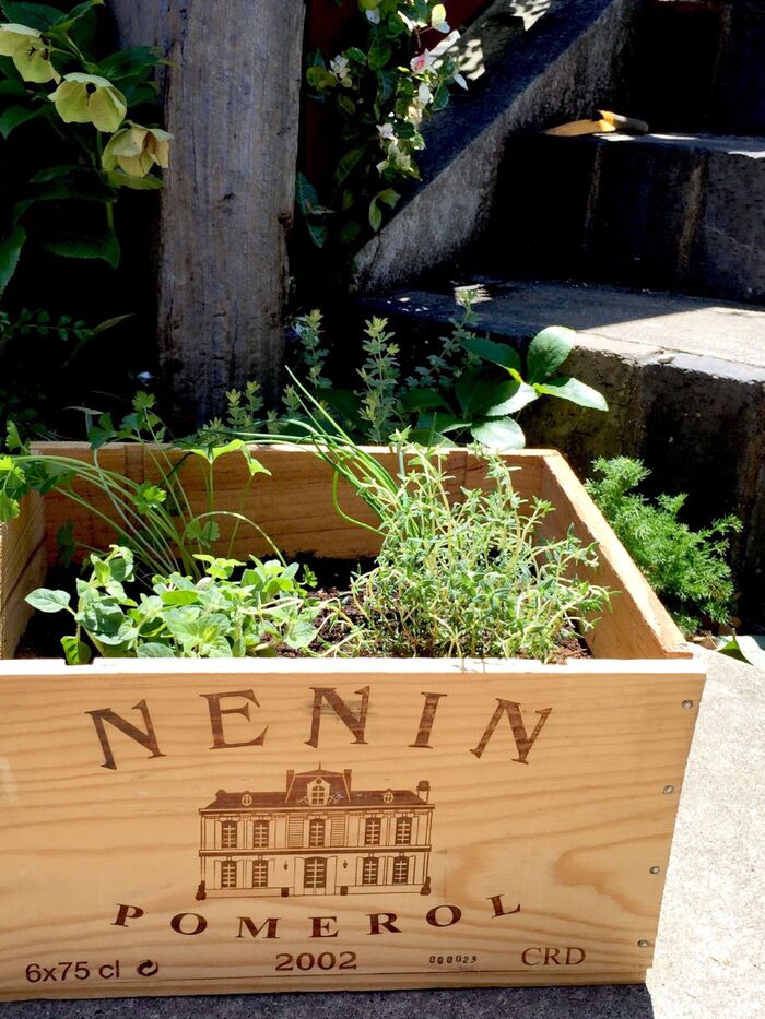 お手軽ハーブガーデン♪絶対オススメなアイテムとは…?