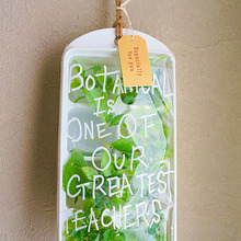 100均製氷皿で簡単!壁掛けボタニカル テラリウム