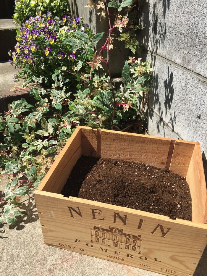 作り方②土を入れる