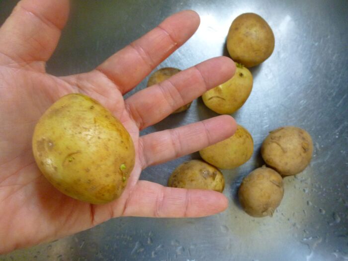 ジャガイモは小さ目のを使う。