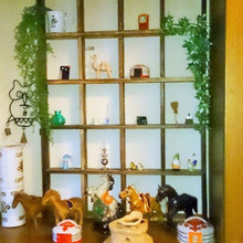 見せながら収納