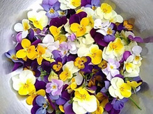 簡単♪きれい♡エディブルフラワー入り氷の器を100均グッズで作ろう\(^o^)/