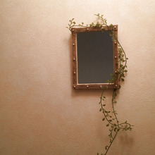 100均のボリューム感がちょうどいい☆