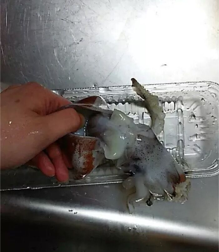 【作ってみよう!】