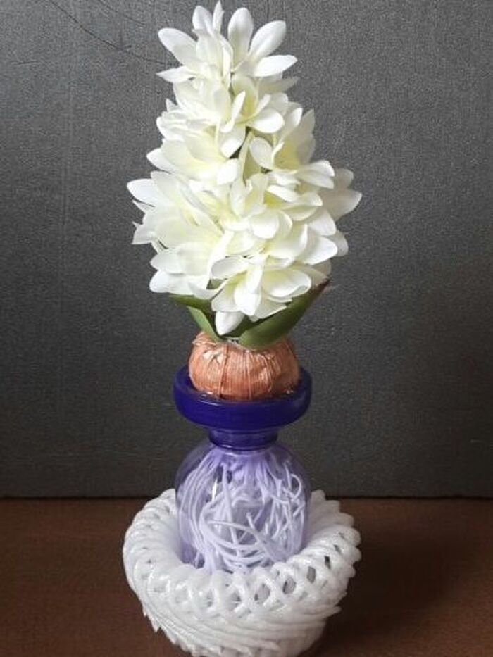 完成したヒヤシンスの花