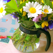 コーヒーサーバーを 花びんに アレンジ♪