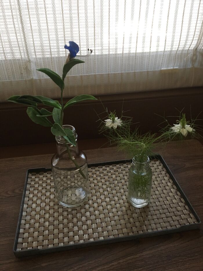 夏のお花にはガラス容器がピッタリ?