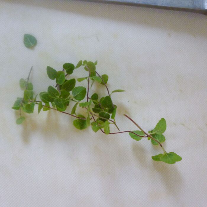 Step1  ハーブ&野菜を切る。