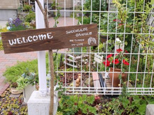 特集 ステキなアイデアを暮らしニスタ編集部でまとめさせて頂きました。