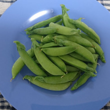 小ぶりの4cmサイズ、サラダに良いサイズ