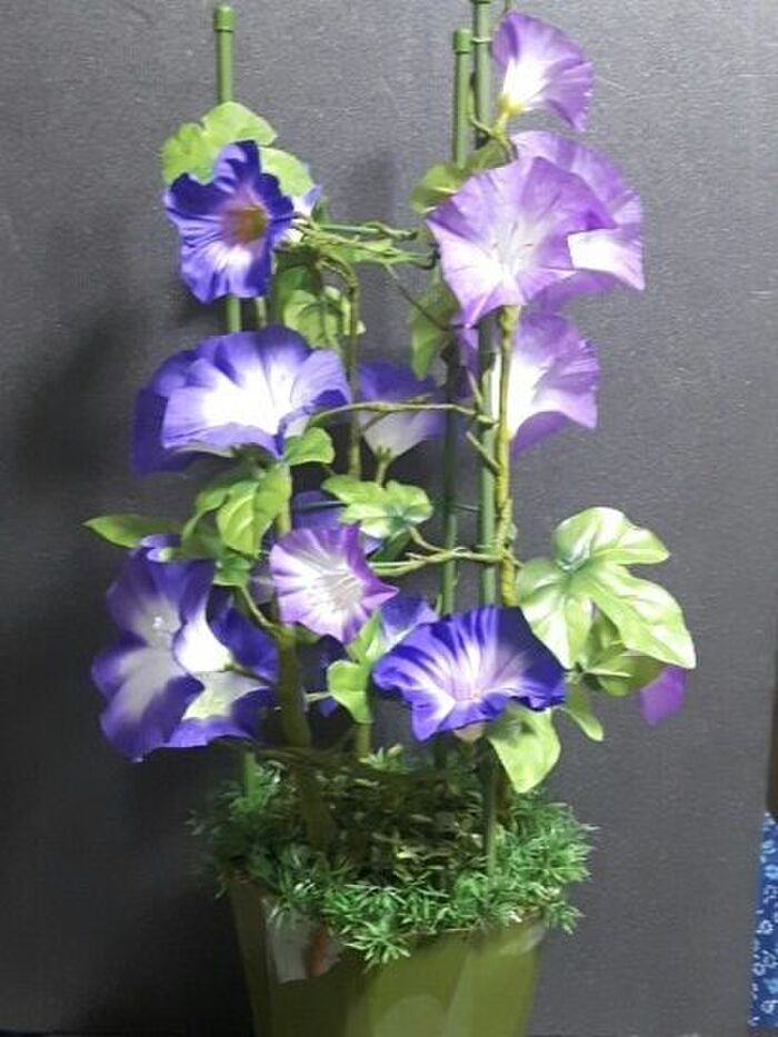 立派な《朝顔の鉢植え》が! アレンジ次第で100均の造花で作れます!!。