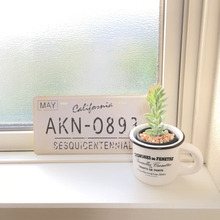 ダイソーのフェイクグリーンで爽やかホワイトインテリア