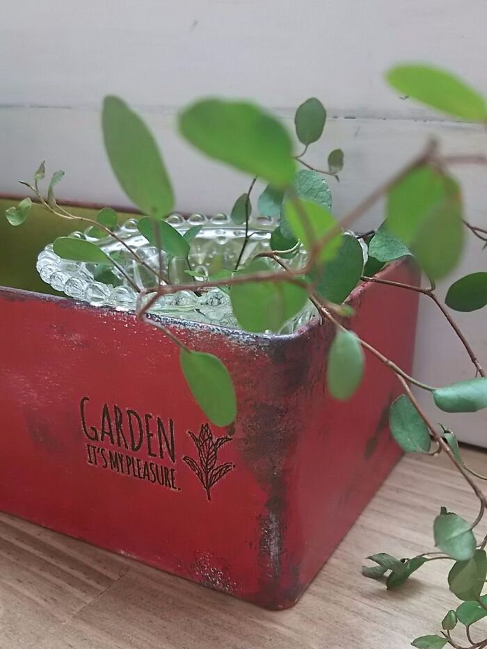 クッキー缶をリメイク♪多肉植物の寄せ植えや雑貨のディスプレイにも◎