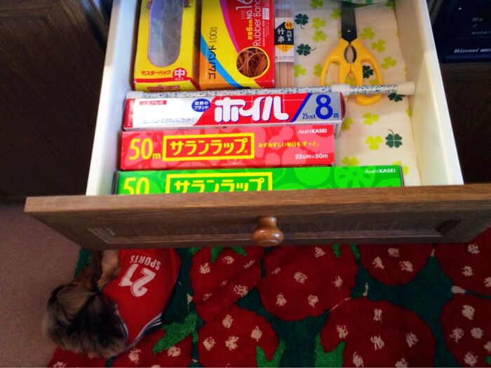 ラップ&アルミホイルの 幅に ツッパリます♪