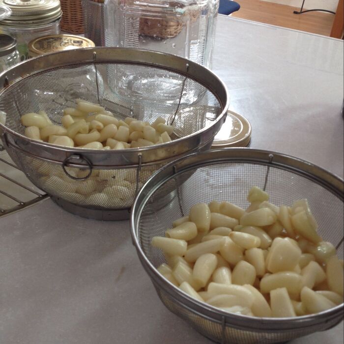 らっきょうを洗う